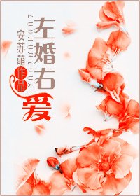 《左婚右爱》