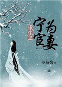 《重生之宁为宦妻》