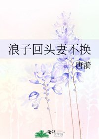 《浪子回头妻不换》