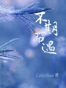 《不期而遇》