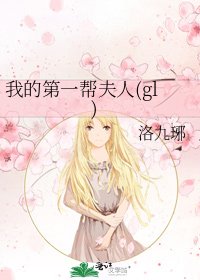 《我的第一帮夫人(gl)》