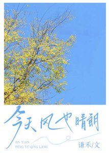 《今天,风也晴朗》
