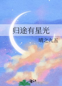 归途有星光