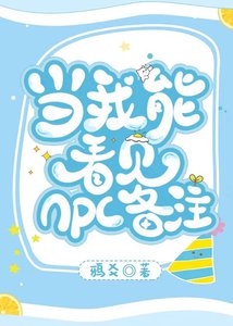 《当我能看见npc备注》